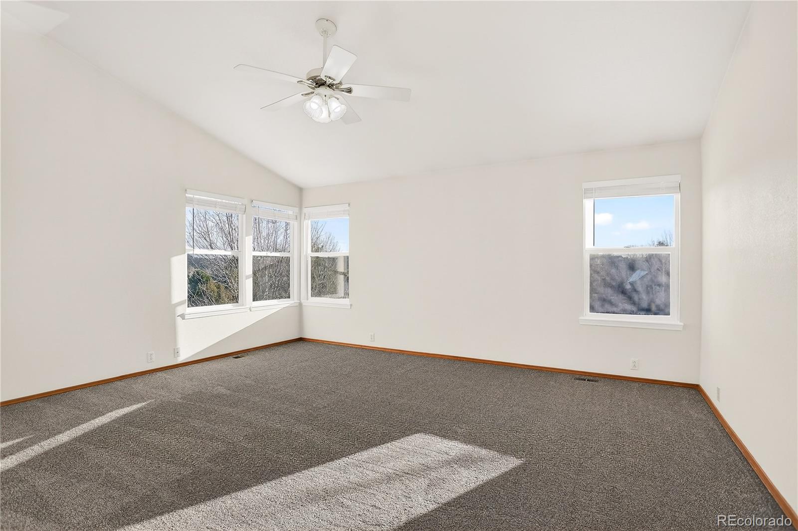 MLS Image #13 for 4830  bluesky drive,castle rock, Colorado