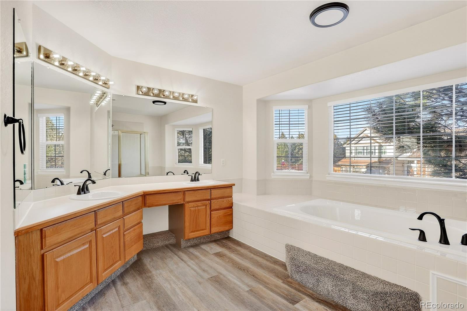 MLS Image #15 for 4830  bluesky drive,castle rock, Colorado