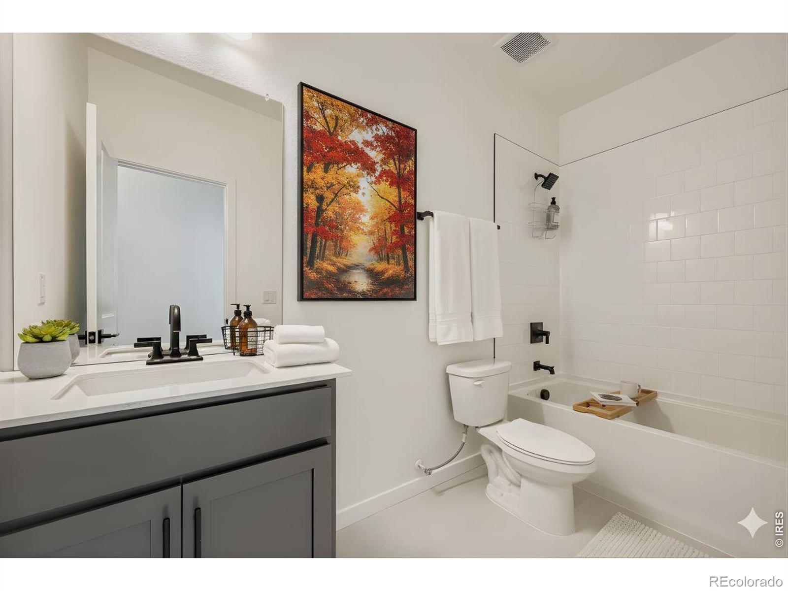 MLS Image #13 for 2827  bear springs circle,longmont, Colorado