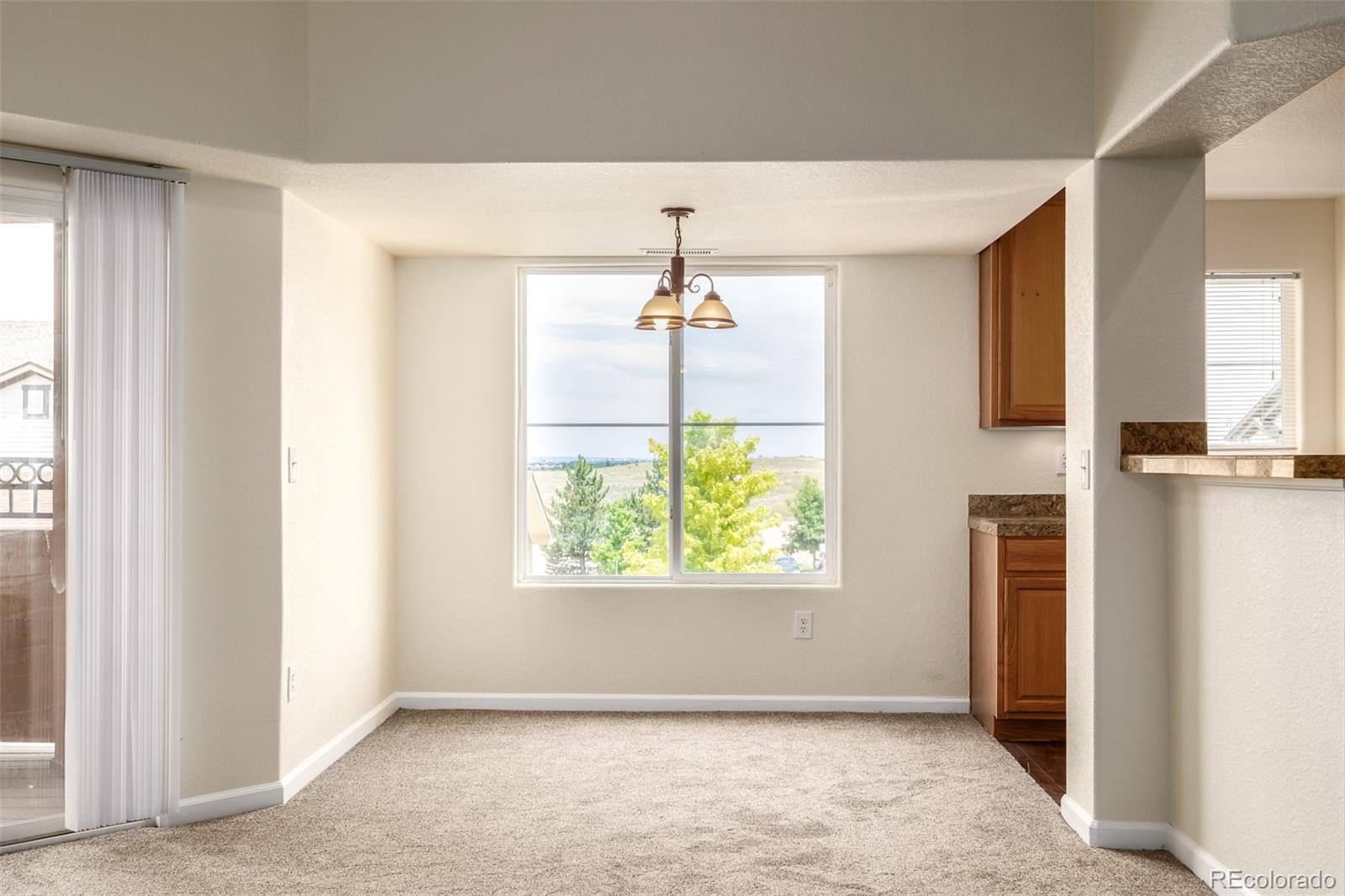 MLS Image #13 for 4608  copeland loop 201,highlands ranch, Colorado