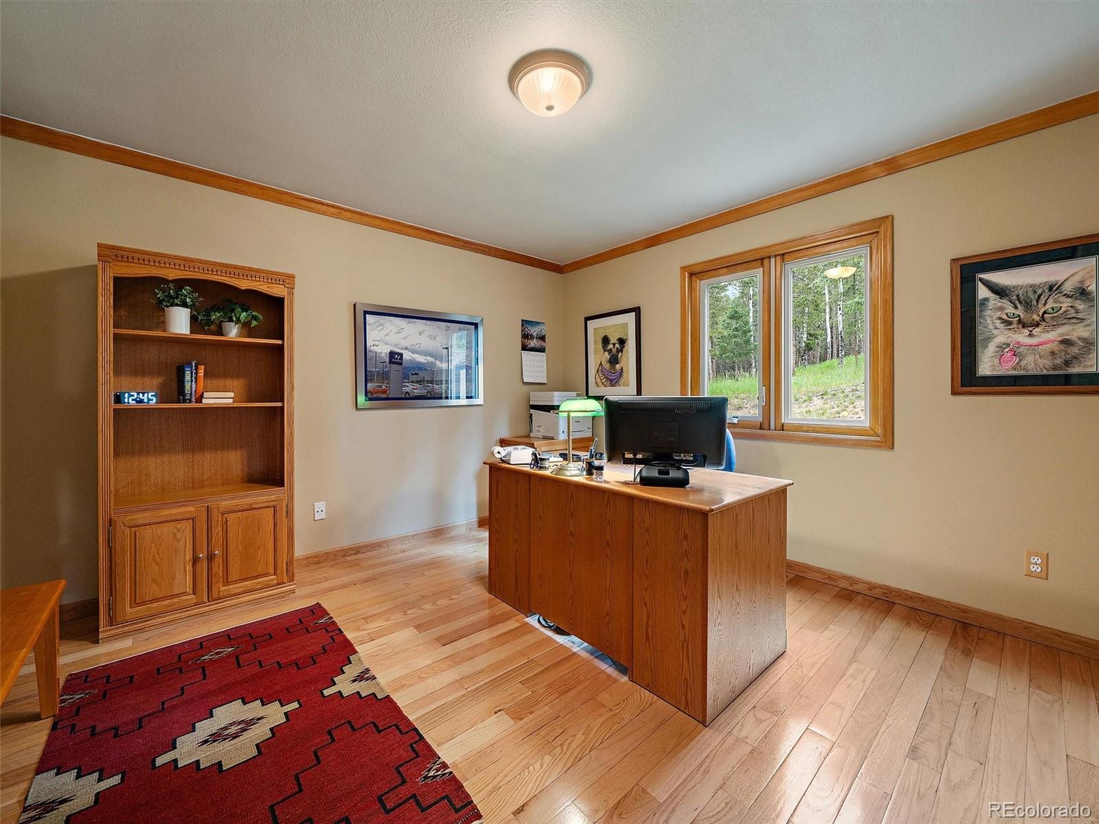 MLS Image #18 for 13094  molly drive,conifer, Colorado
