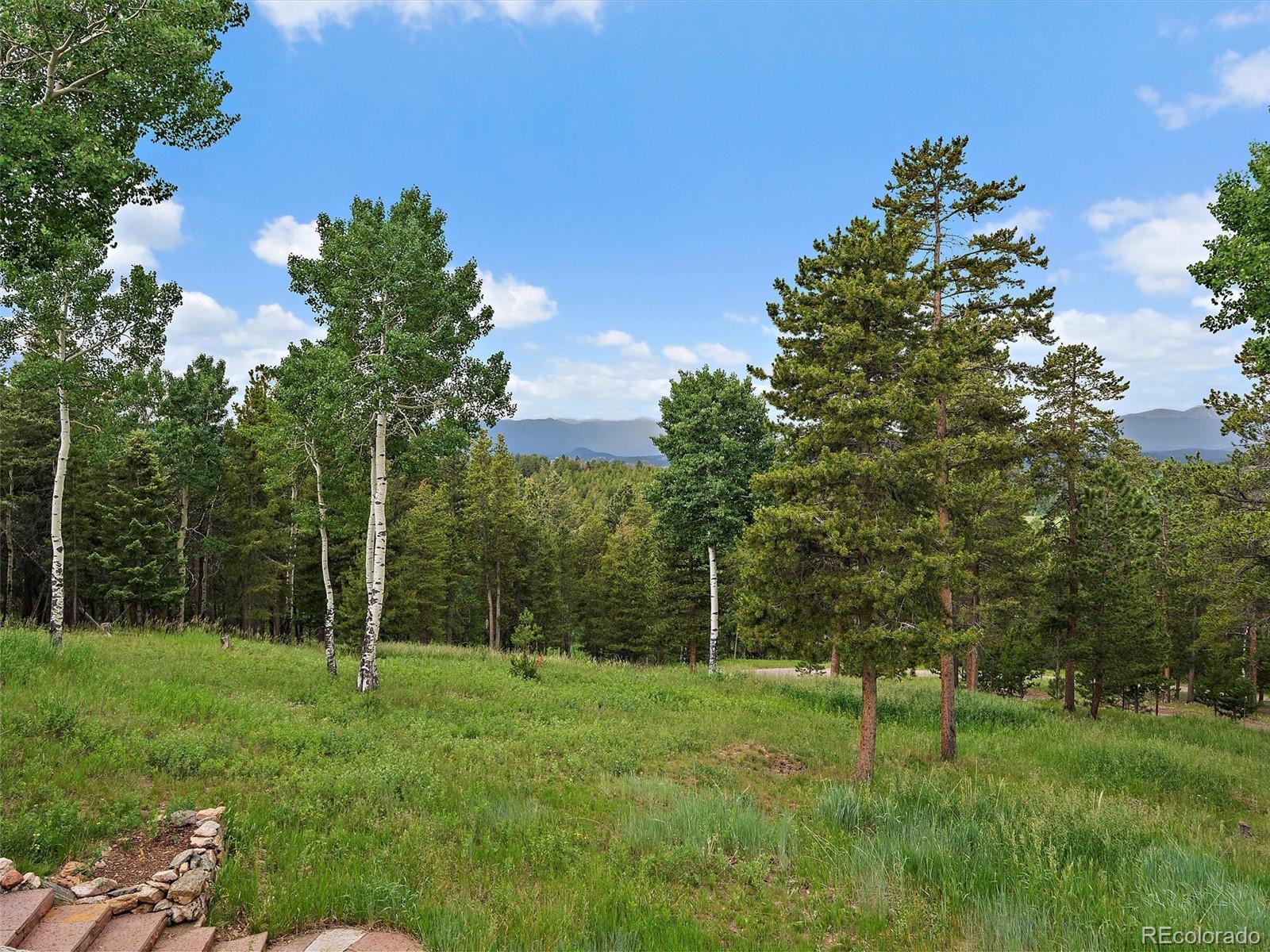 MLS Image #48 for 13094  molly drive,conifer, Colorado