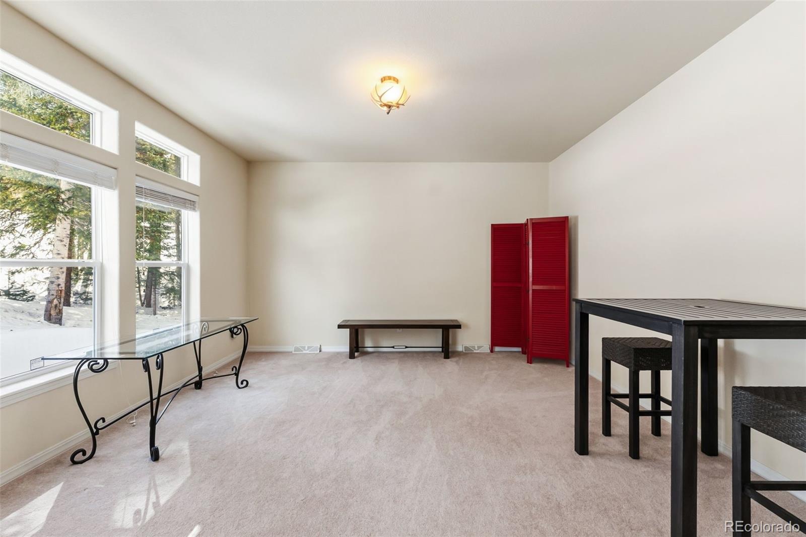 MLS Image #19 for 513  rena road,breckenridge, Colorado