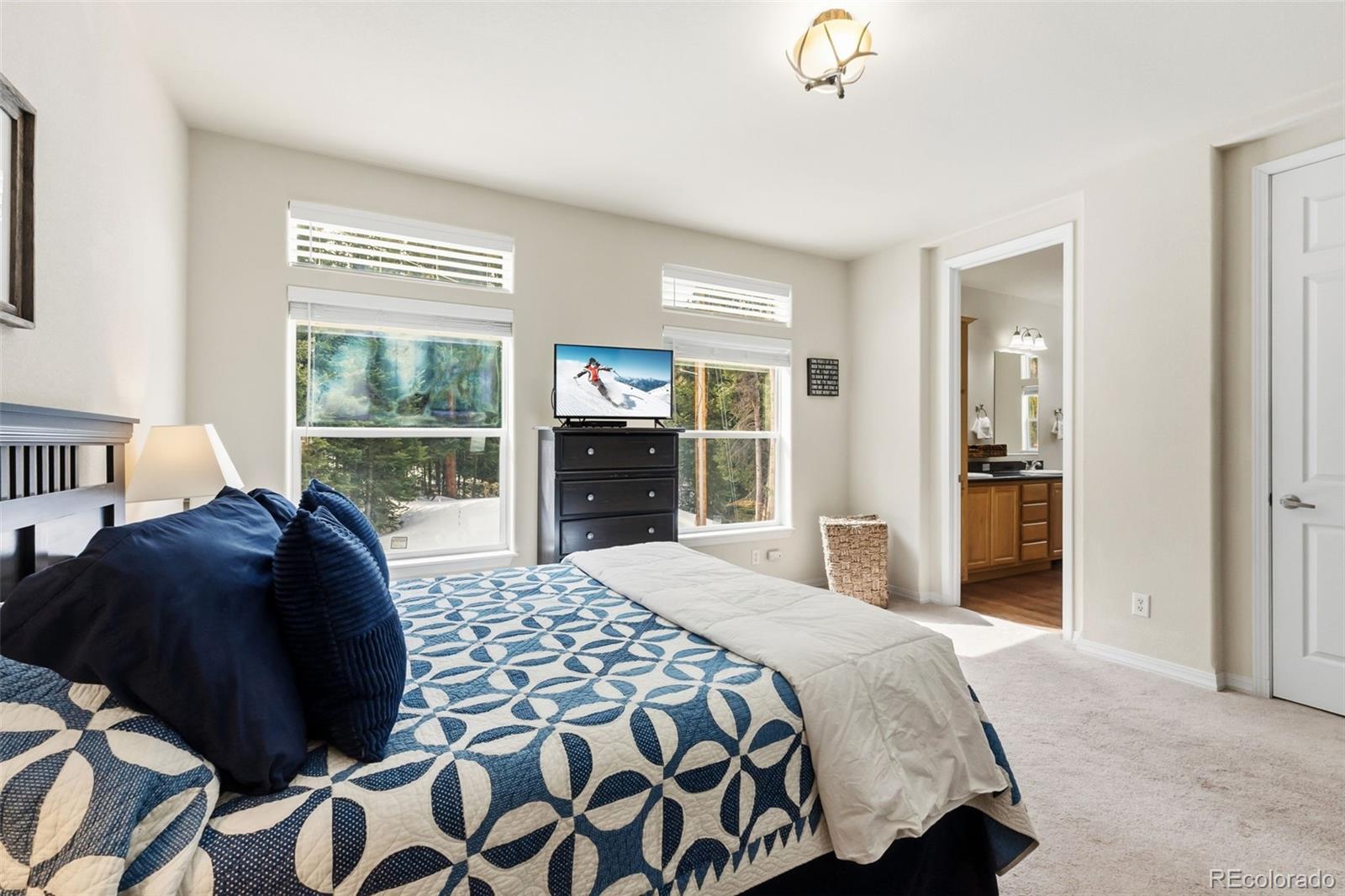 MLS Image #21 for 513  rena road,breckenridge, Colorado