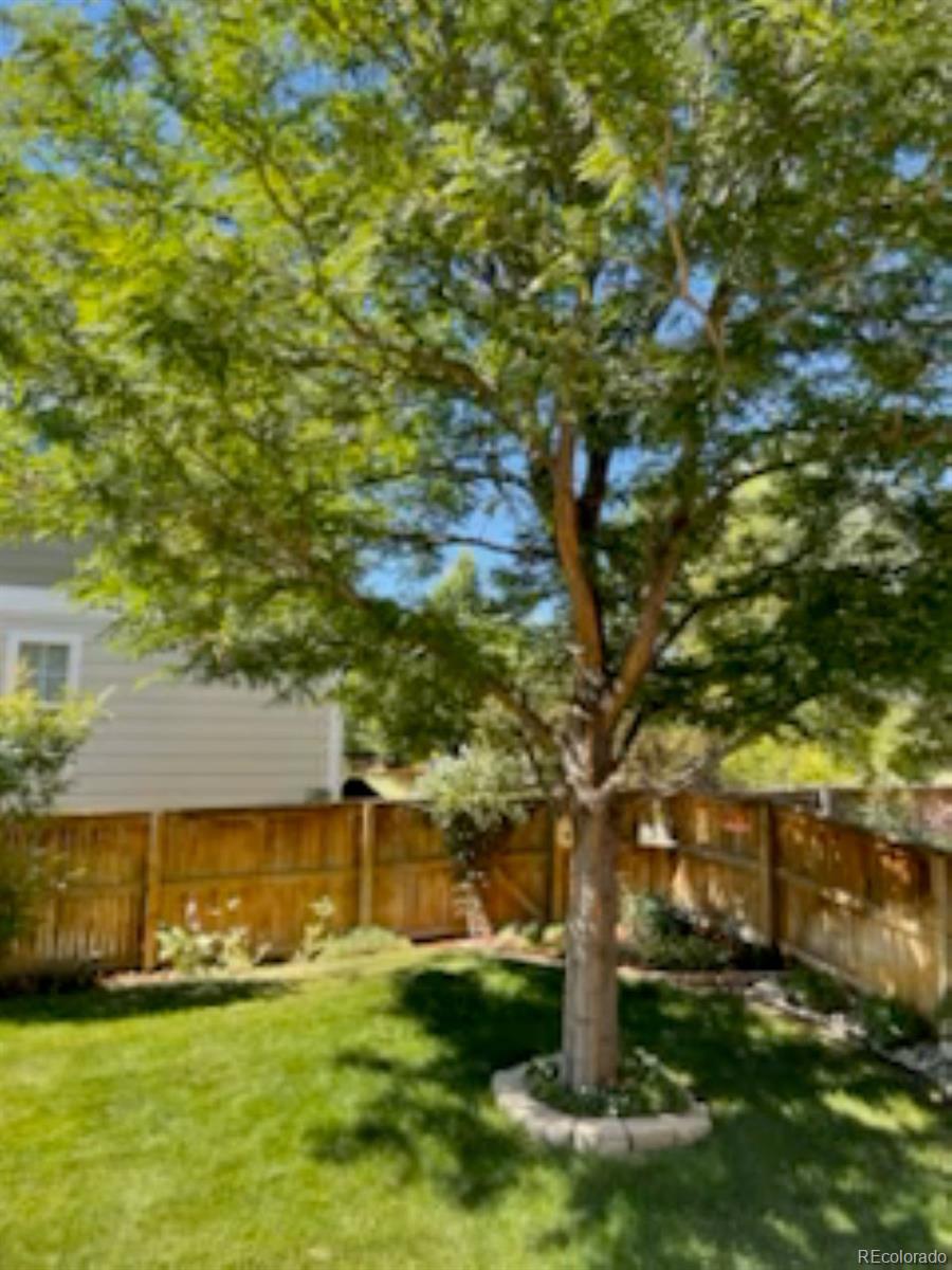 MLS Image #23 for 9286  longstone drive,parker, Colorado