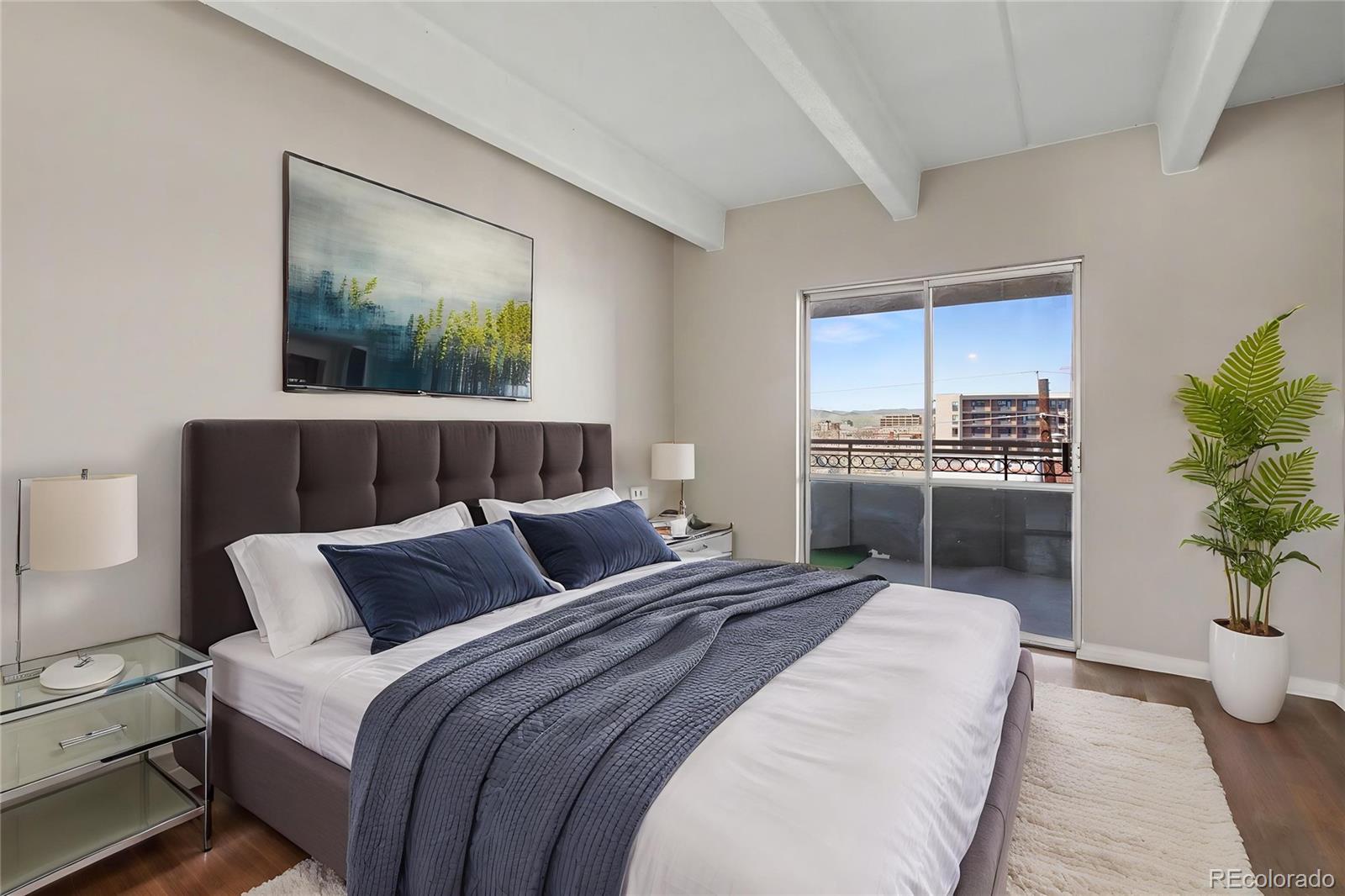MLS Image #11 for 1441 n humboldt street 507,denver, Colorado