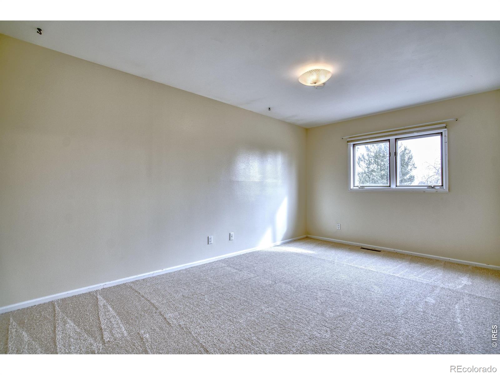 MLS Image #14 for 1640  juniper street,longmont, Colorado