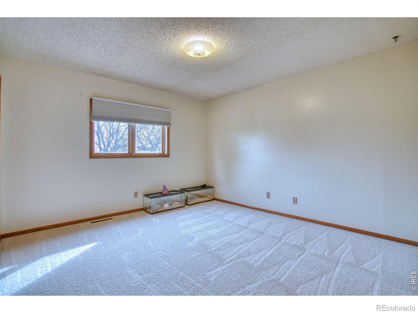 MLS Image #18 for 1640  juniper street,longmont, Colorado