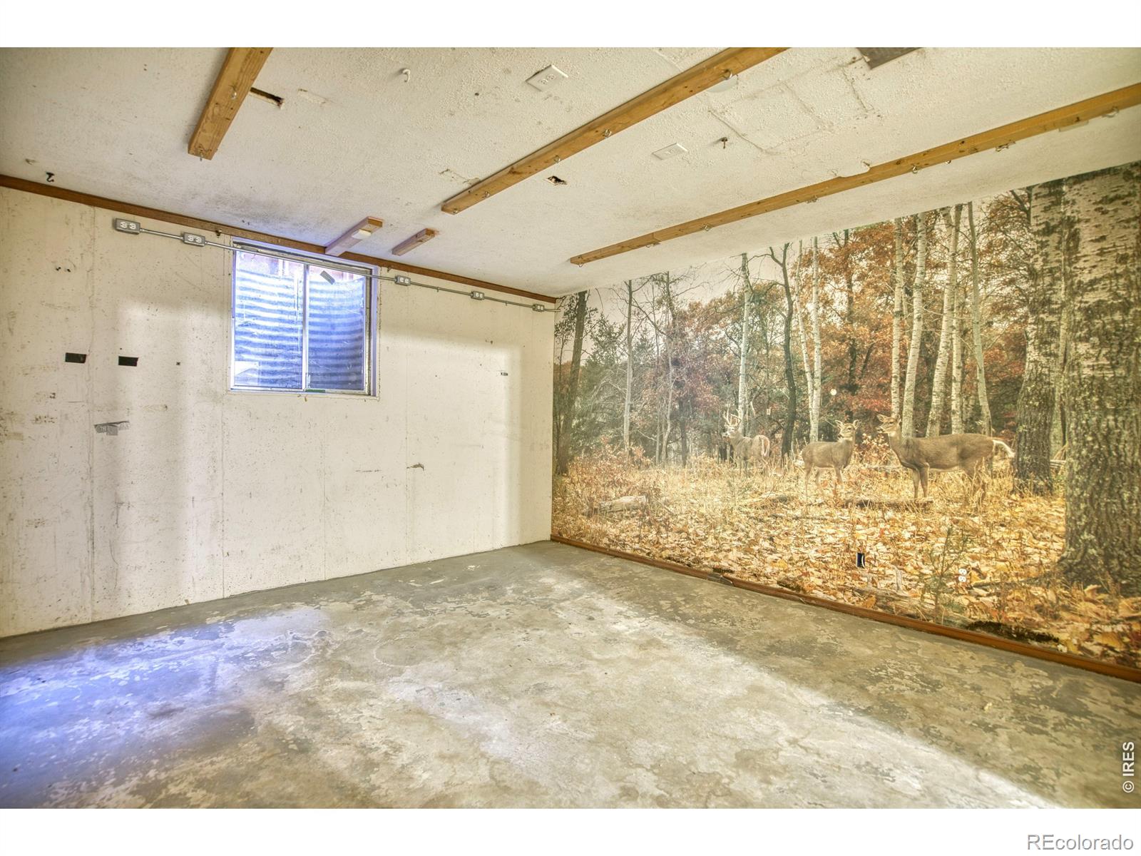 MLS Image #24 for 1640  juniper street,longmont, Colorado