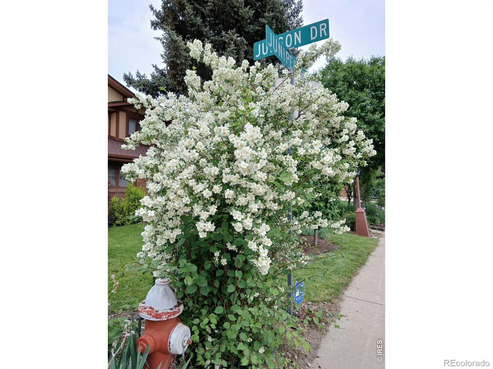 MLS Image #28 for 1640  juniper street,longmont, Colorado