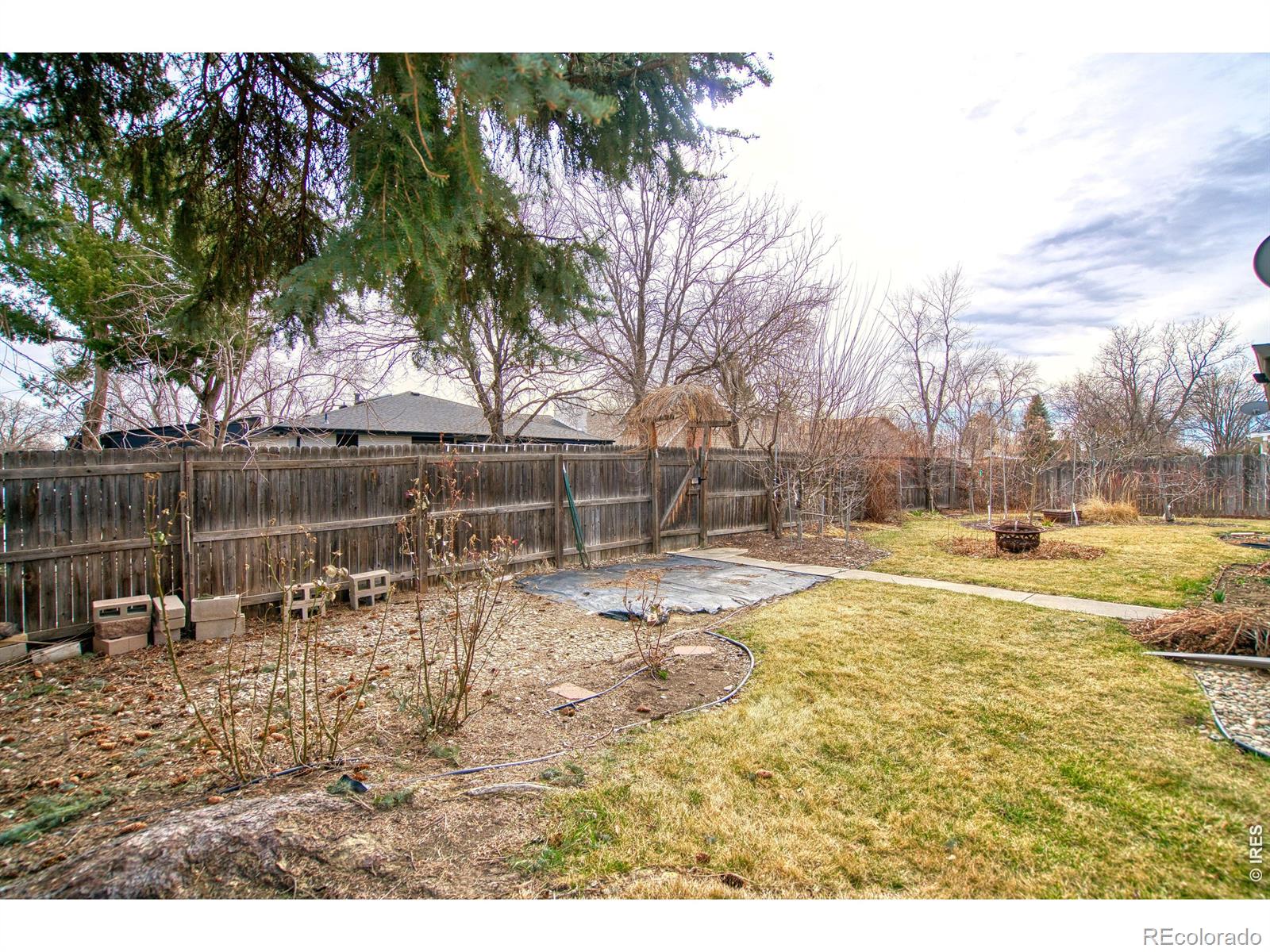 MLS Image #30 for 1640  juniper street,longmont, Colorado