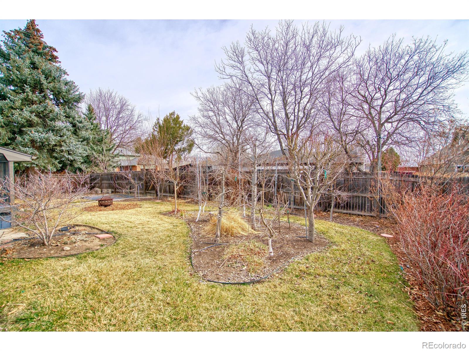 MLS Image #31 for 1640  juniper street,longmont, Colorado