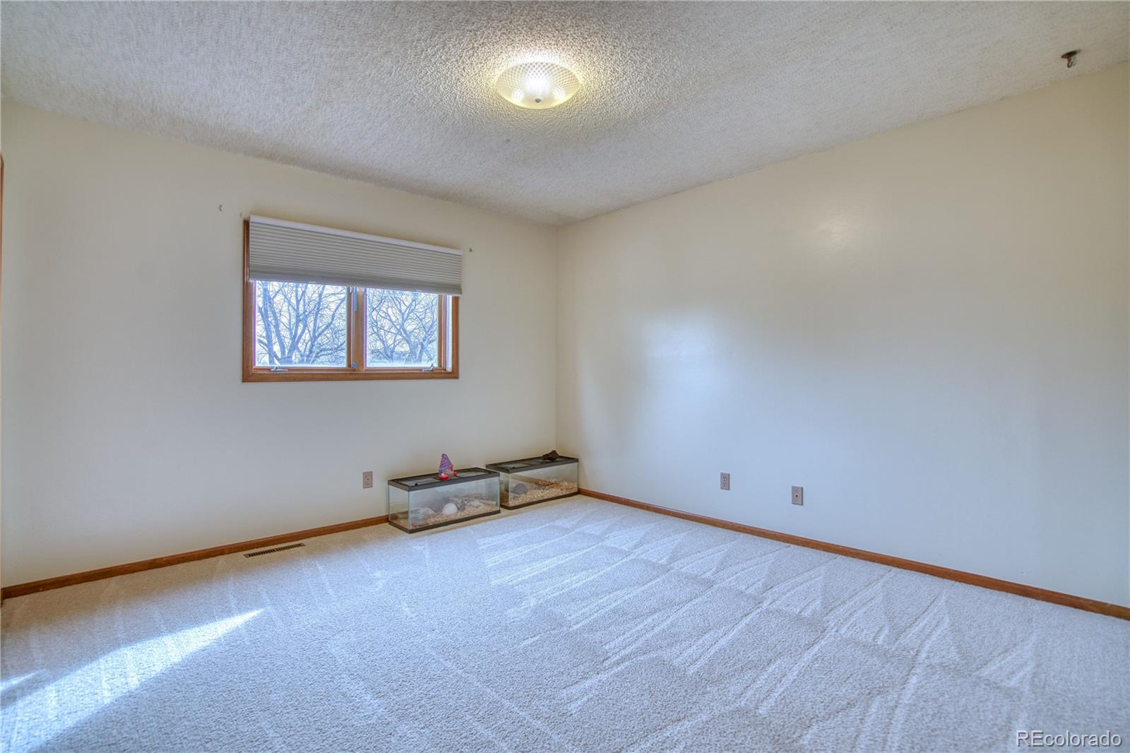 MLS Image #18 for 1640  juniper street,longmont, Colorado