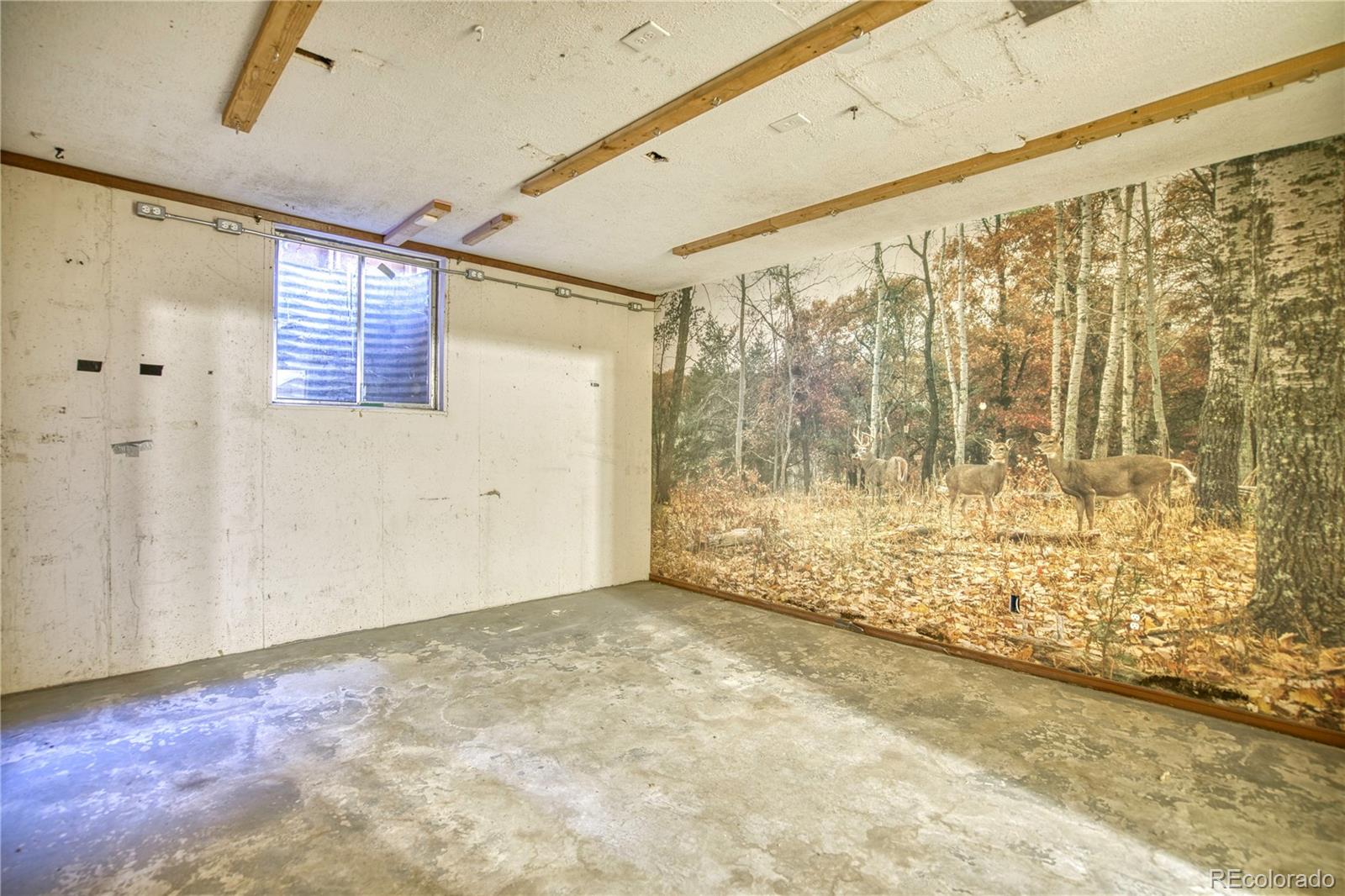 MLS Image #24 for 1640  juniper street,longmont, Colorado