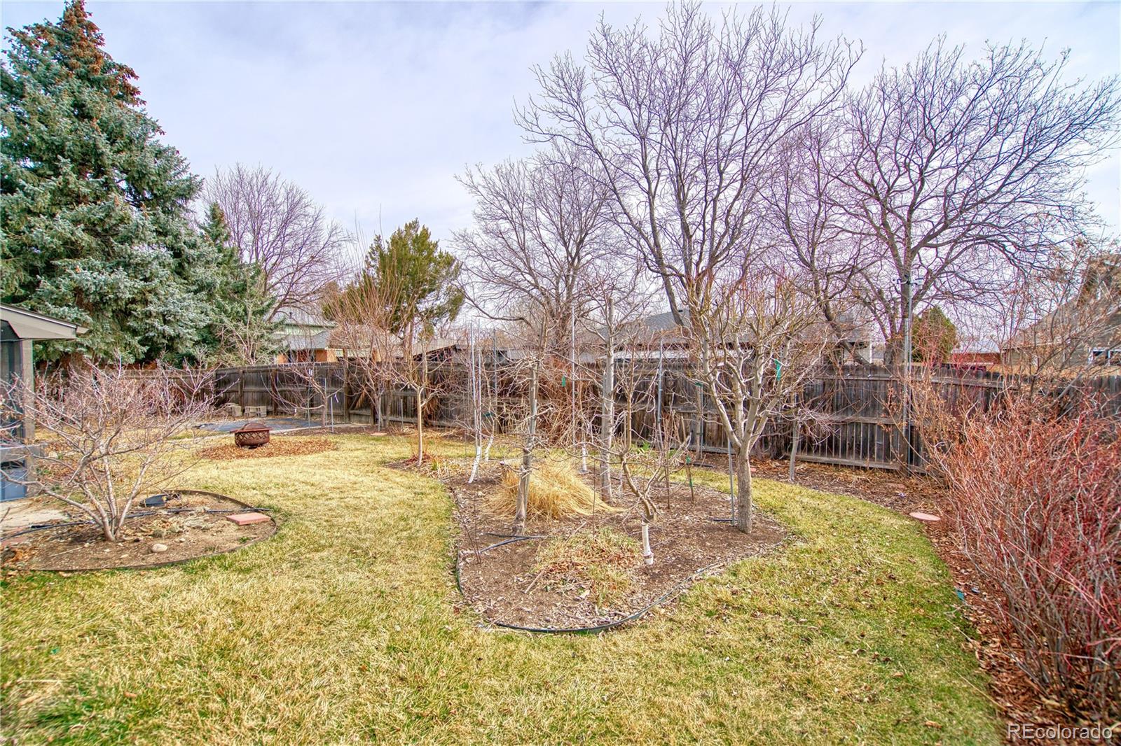 MLS Image #31 for 1640  juniper street,longmont, Colorado