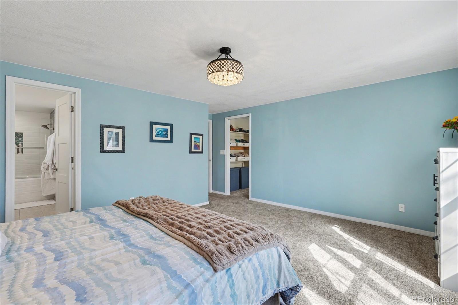 MLS Image #12 for 10015  hooker court,westminster, Colorado