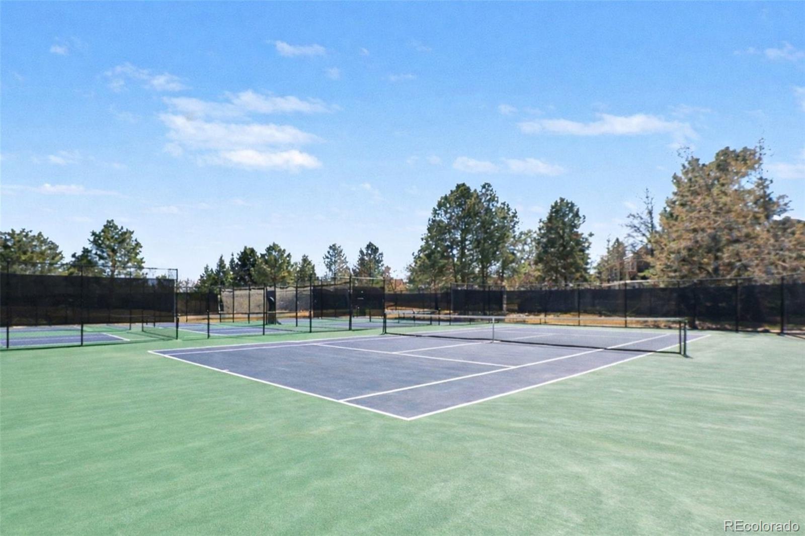 MLS Image #31 for 10015  hooker court,westminster, Colorado