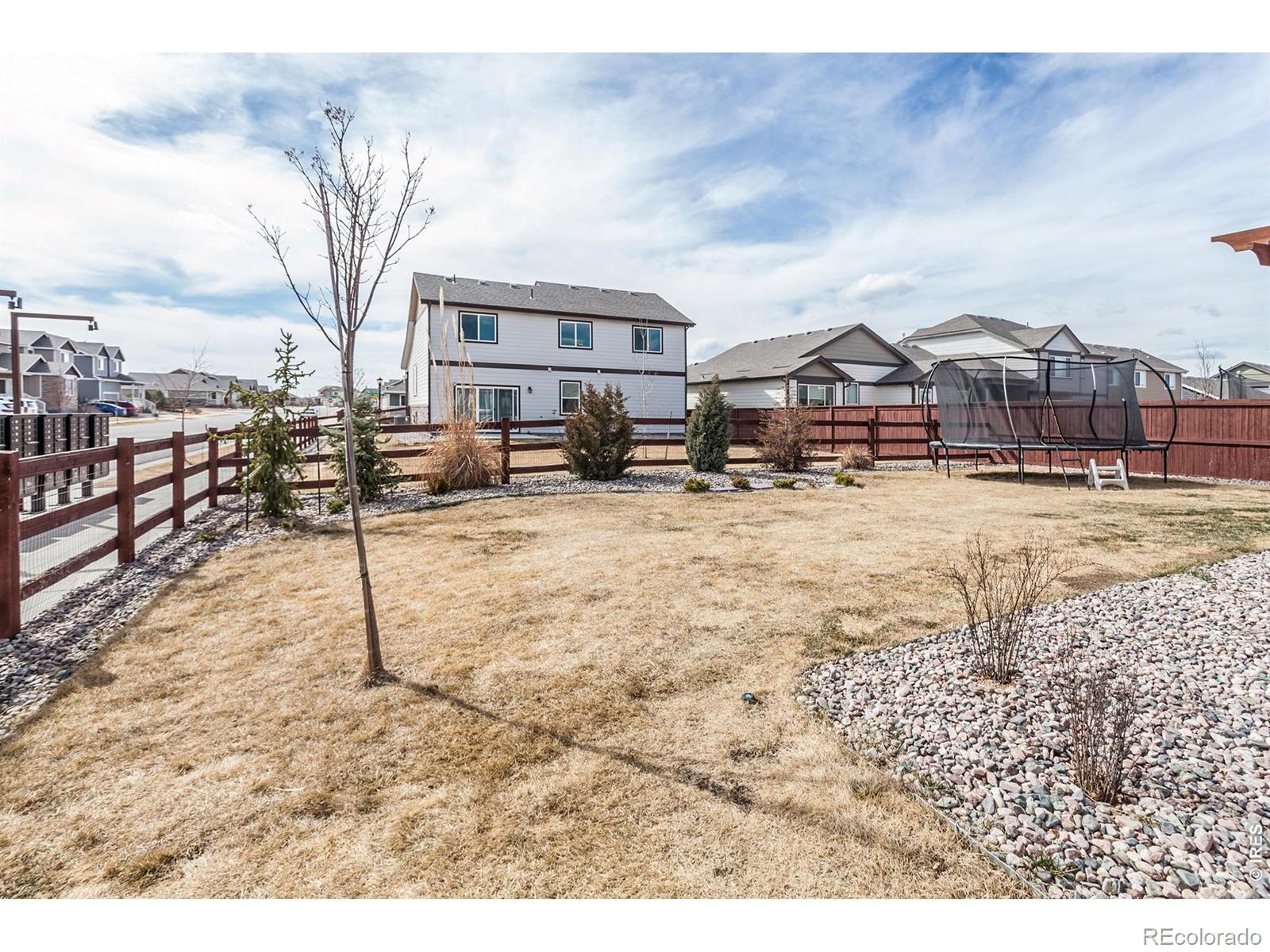 MLS Image #28 for 1815  farm tradition court,windsor, Colorado
