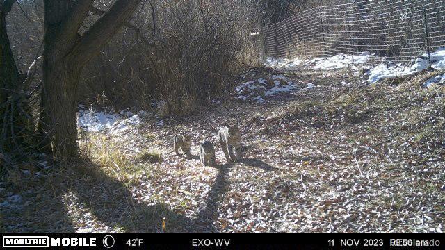 MLS Image #43 for 8225 w us highway 24 ,cascade, Colorado