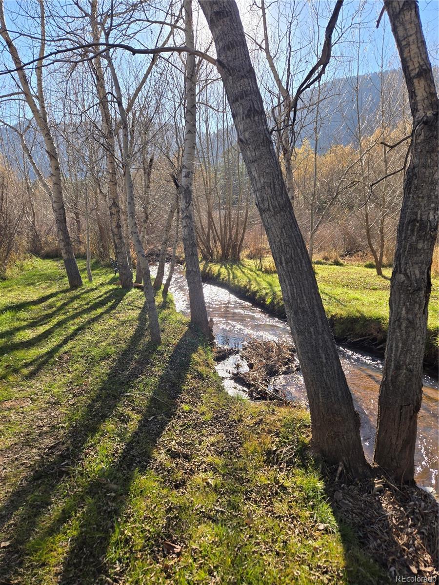 MLS Image #45 for 8225 w us highway 24 ,cascade, Colorado