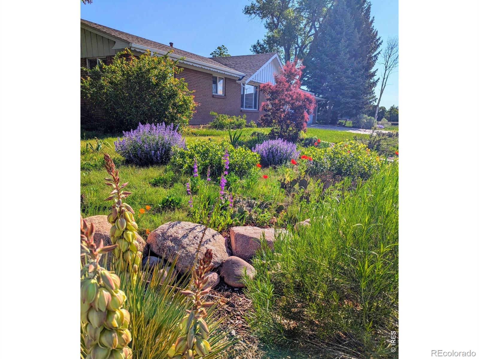 MLS Image #2 for 1605  14th street,loveland, Colorado