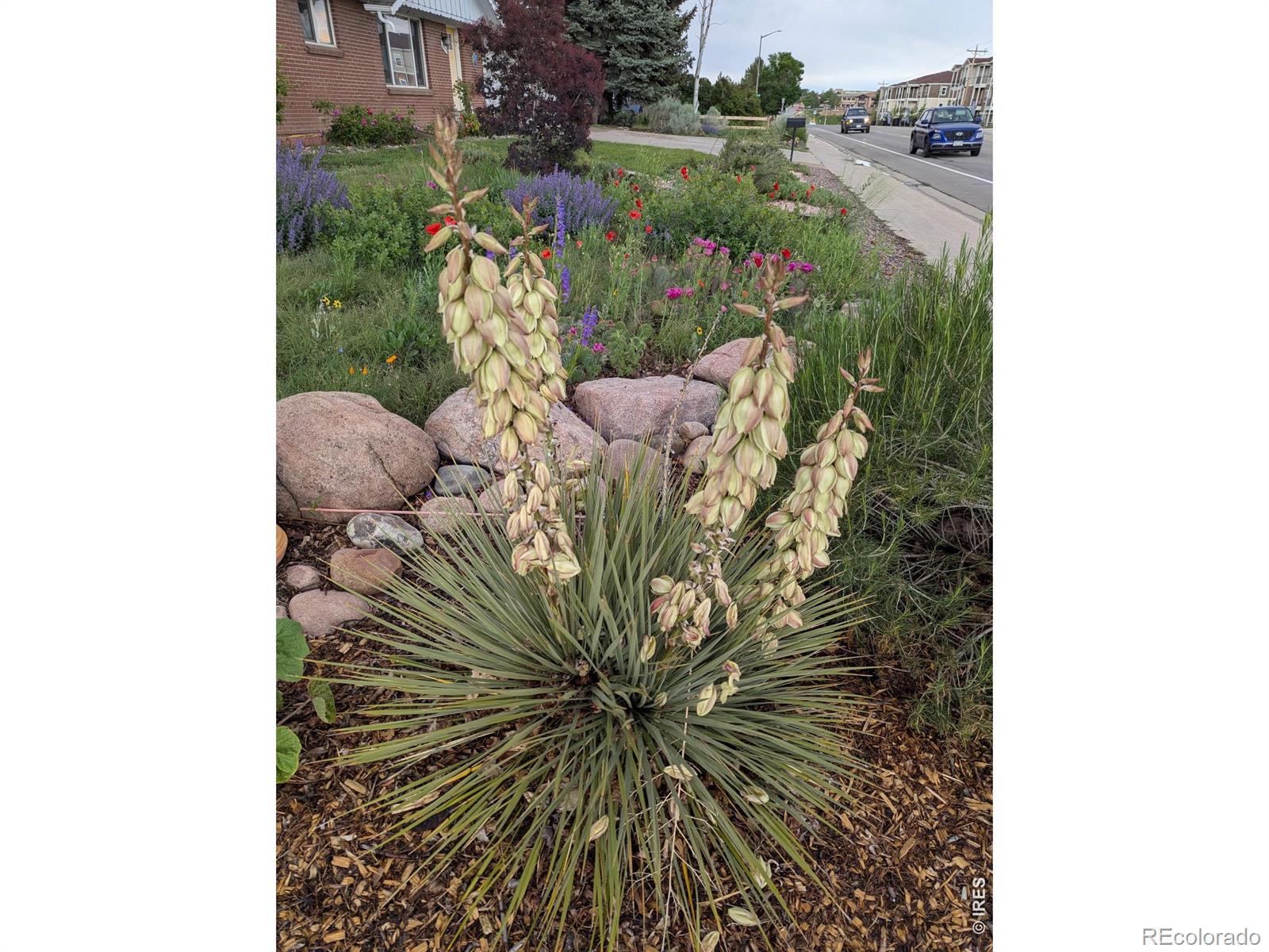 MLS Image #3 for 1605  14th street,loveland, Colorado