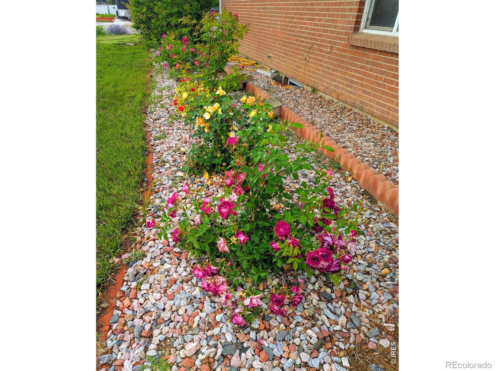 MLS Image #4 for 1605  14th street,loveland, Colorado