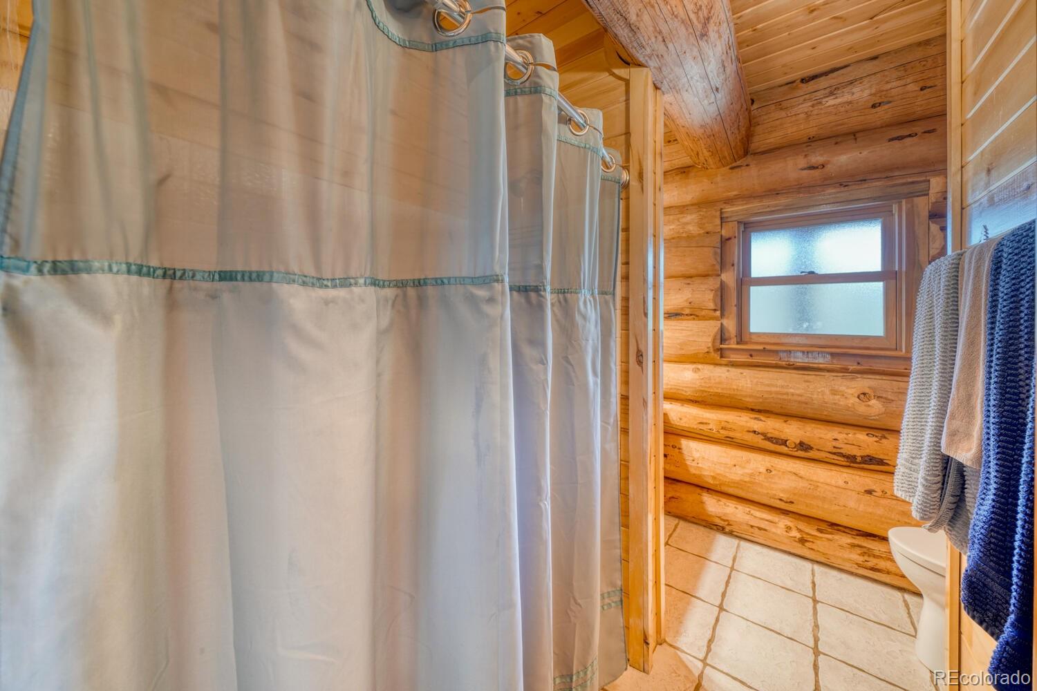 MLS Image #24 for 33493  county road 373a ,buena vista, Colorado