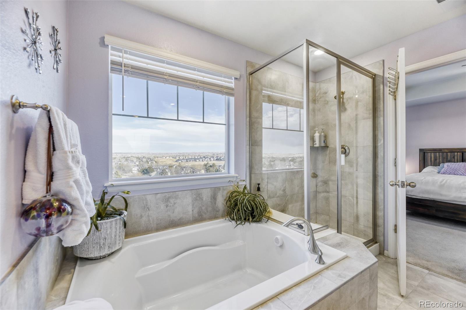 MLS Image #14 for 14997  munich avenue,parker, Colorado