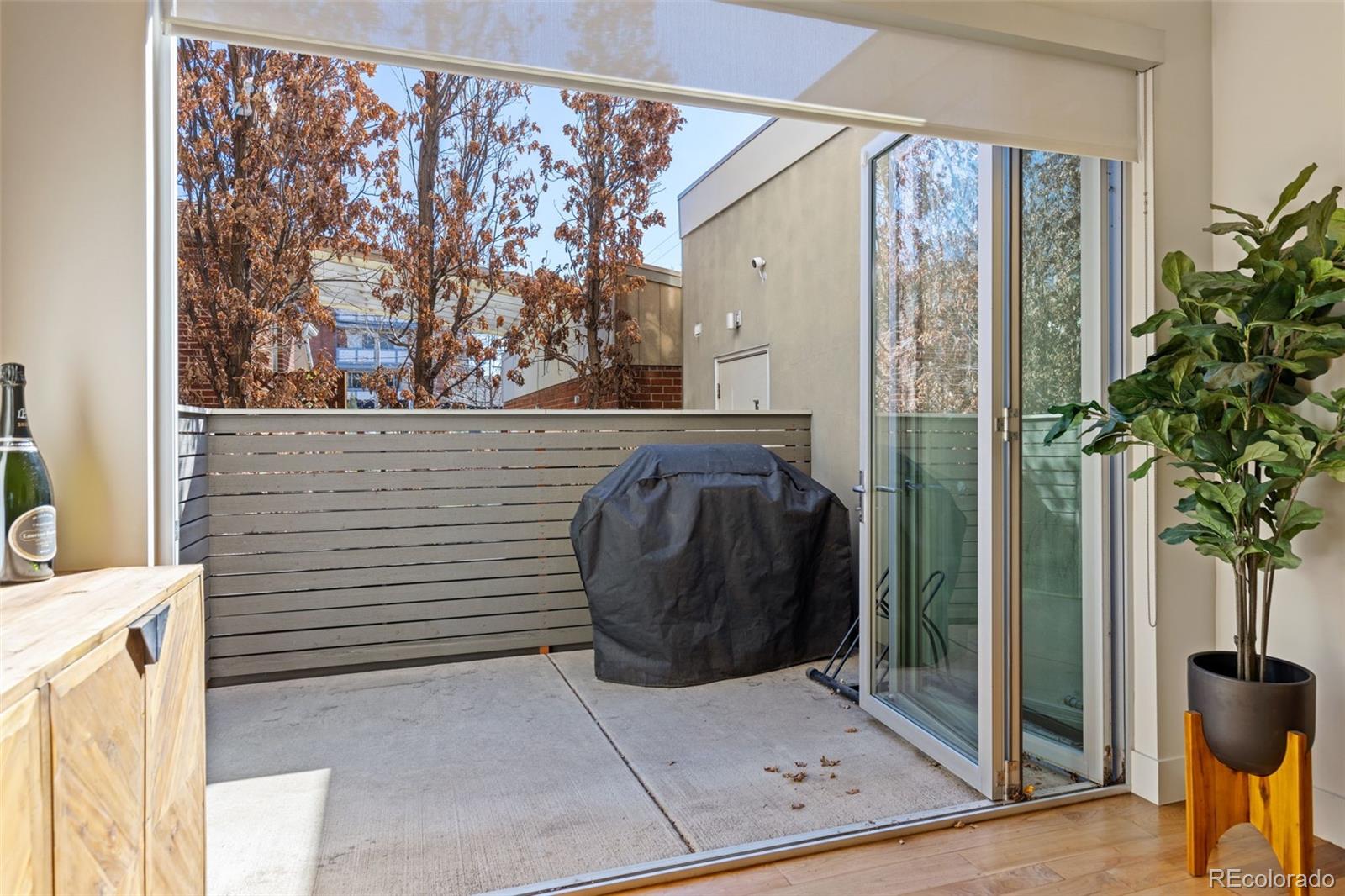 MLS Image #8 for 37 s ogden street ,denver, Colorado