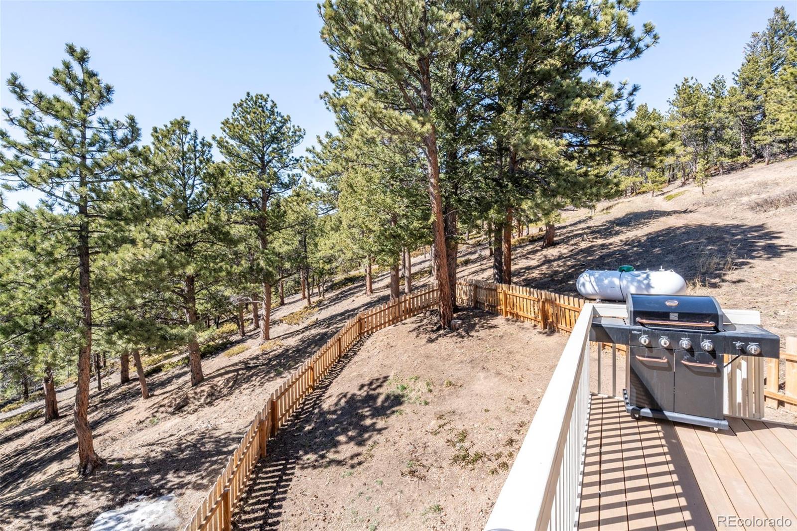 MLS Image #43 for 140  county road 128n ,nederland, Colorado