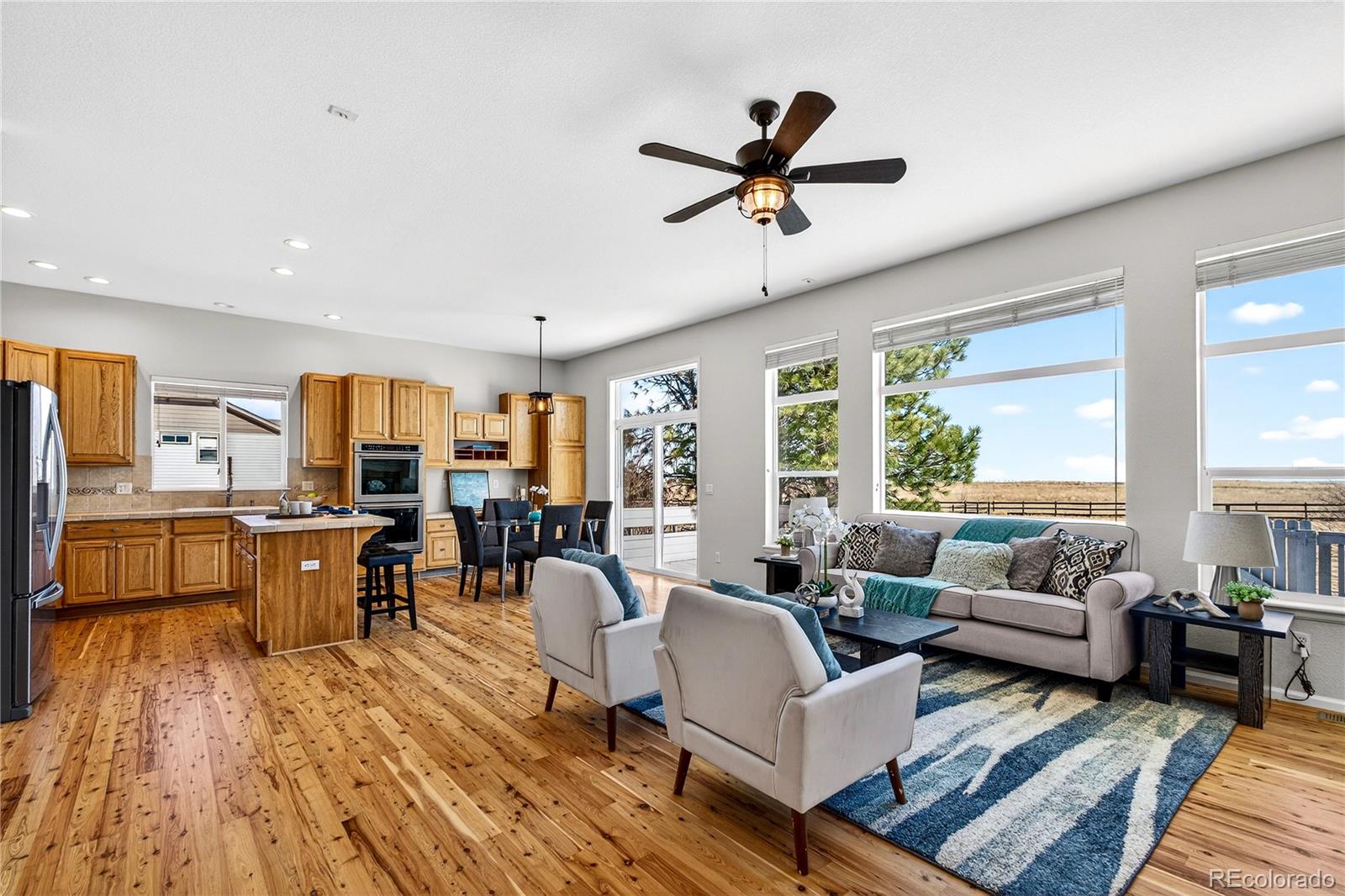 MLS Image #10 for 580  columbine drive,bennett, Colorado