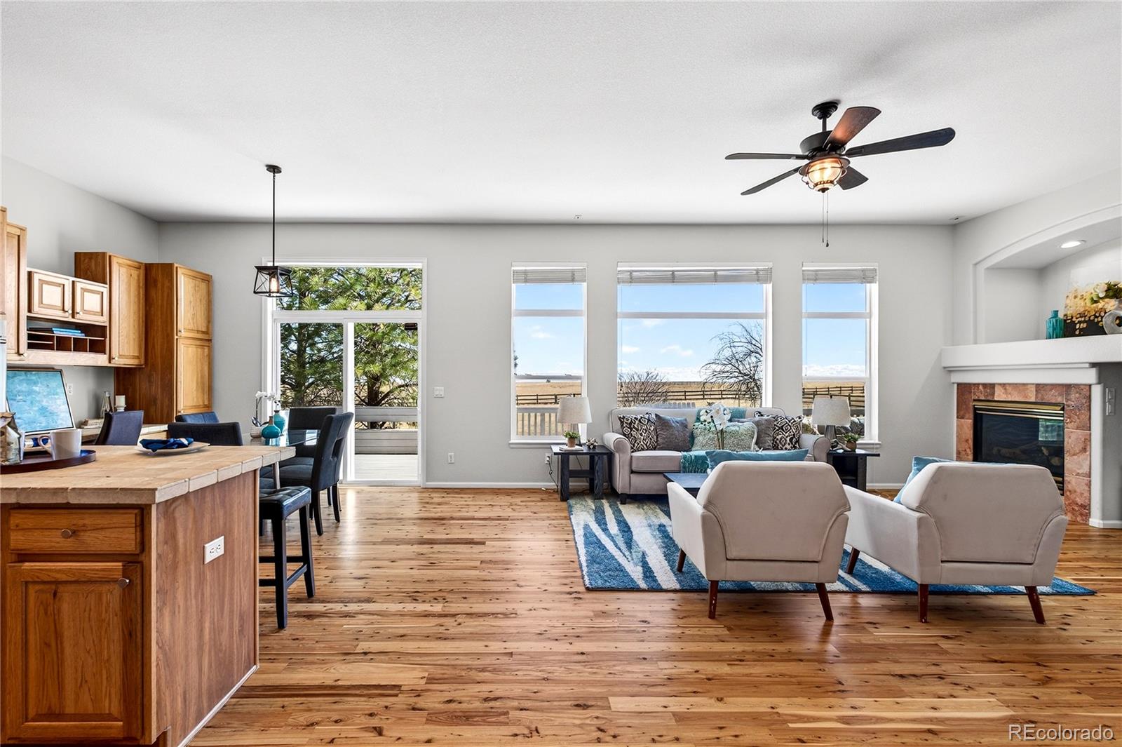 MLS Image #11 for 580  columbine drive,bennett, Colorado
