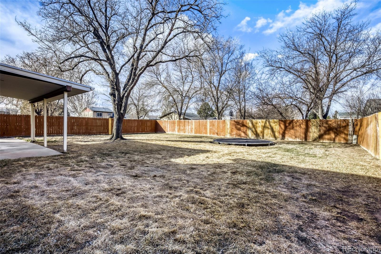 MLS Image #12 for 140  juniper avenue,eaton, Colorado
