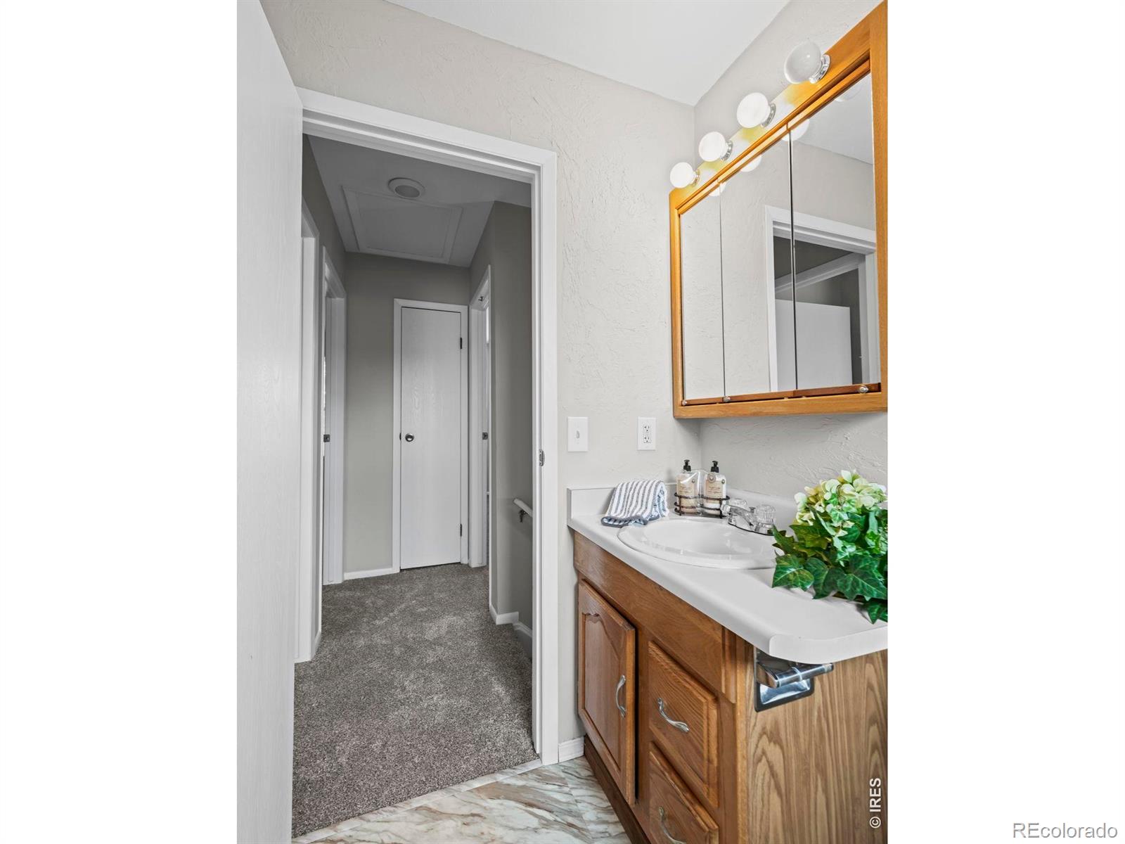 MLS Image #13 for 10721  queen street,broomfield, Colorado