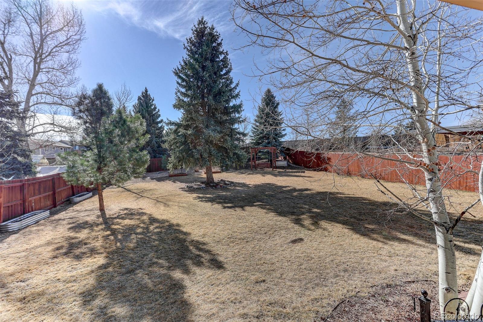 MLS Image #17 for 4008  ashcroft avenue,castle rock, Colorado
