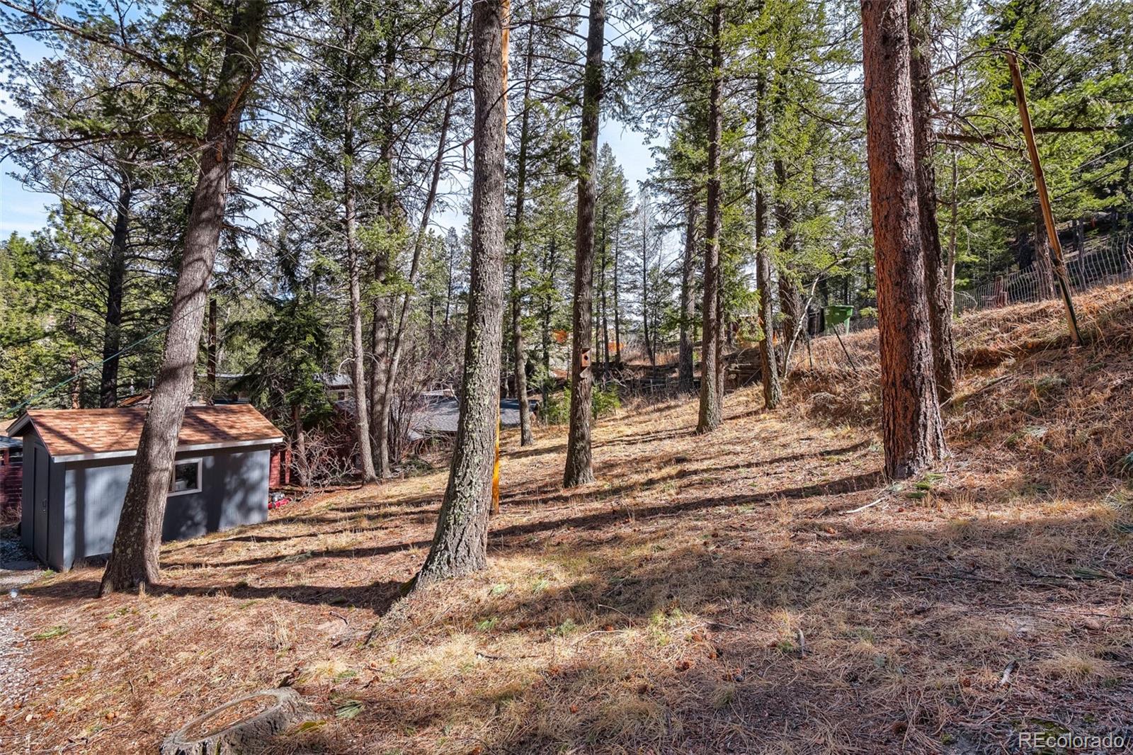 MLS Image #36 for 30154  glen eyrie drive,evergreen, Colorado