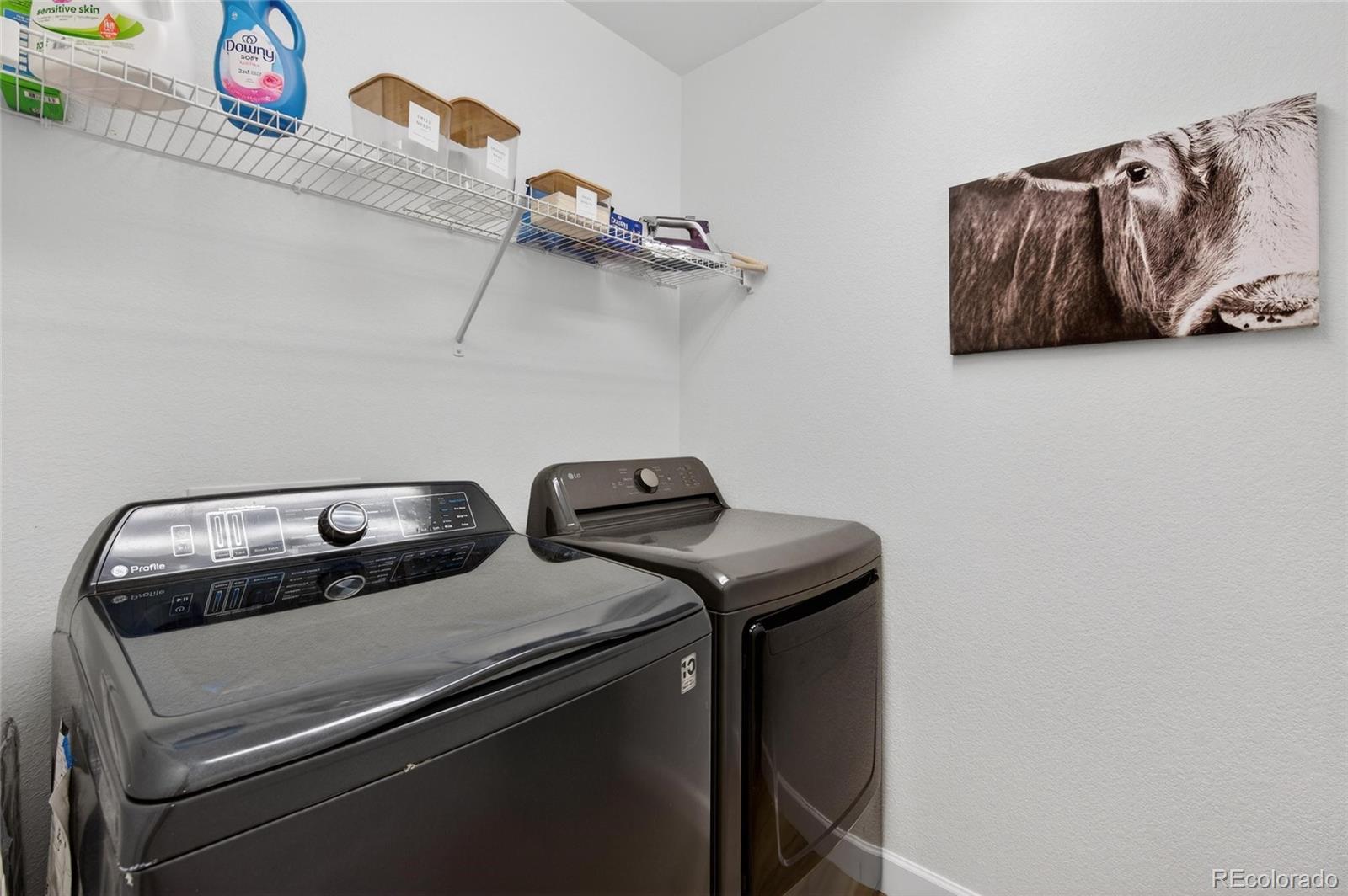 MLS Image #26 for 2233  bramble street,castle rock, Colorado