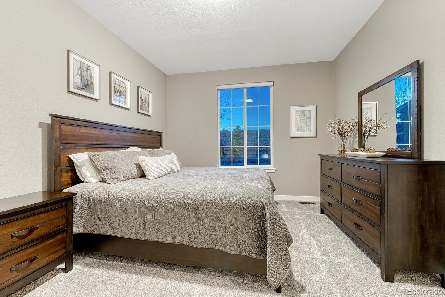 MLS Image #19 for 7133  hyland hills street,castle pines, Colorado