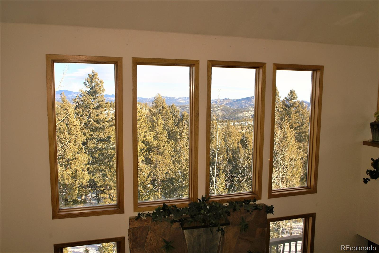 MLS Image #20 for 31371  shadow mountain drive,conifer, Colorado