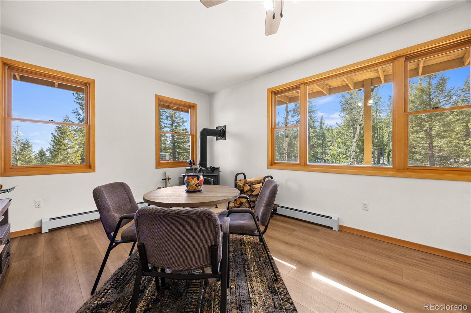 MLS Image #8 for 31371  shadow mountain drive,conifer, Colorado