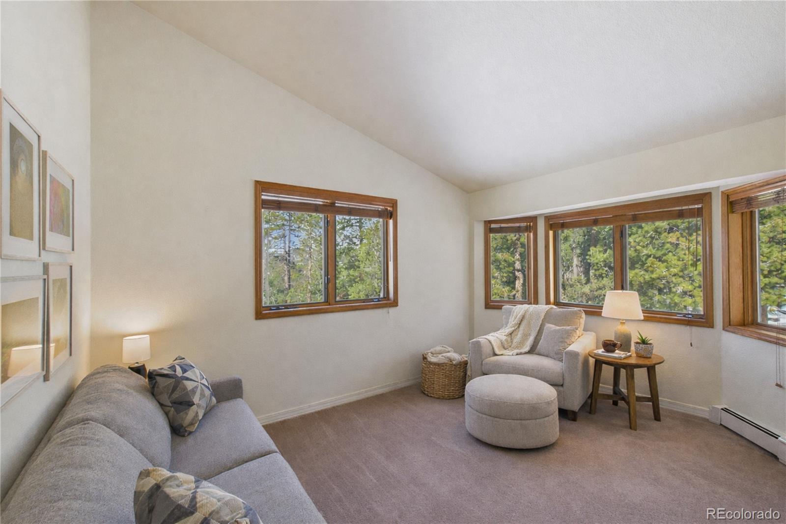 MLS Image #18 for 10798  crystal way,conifer, Colorado