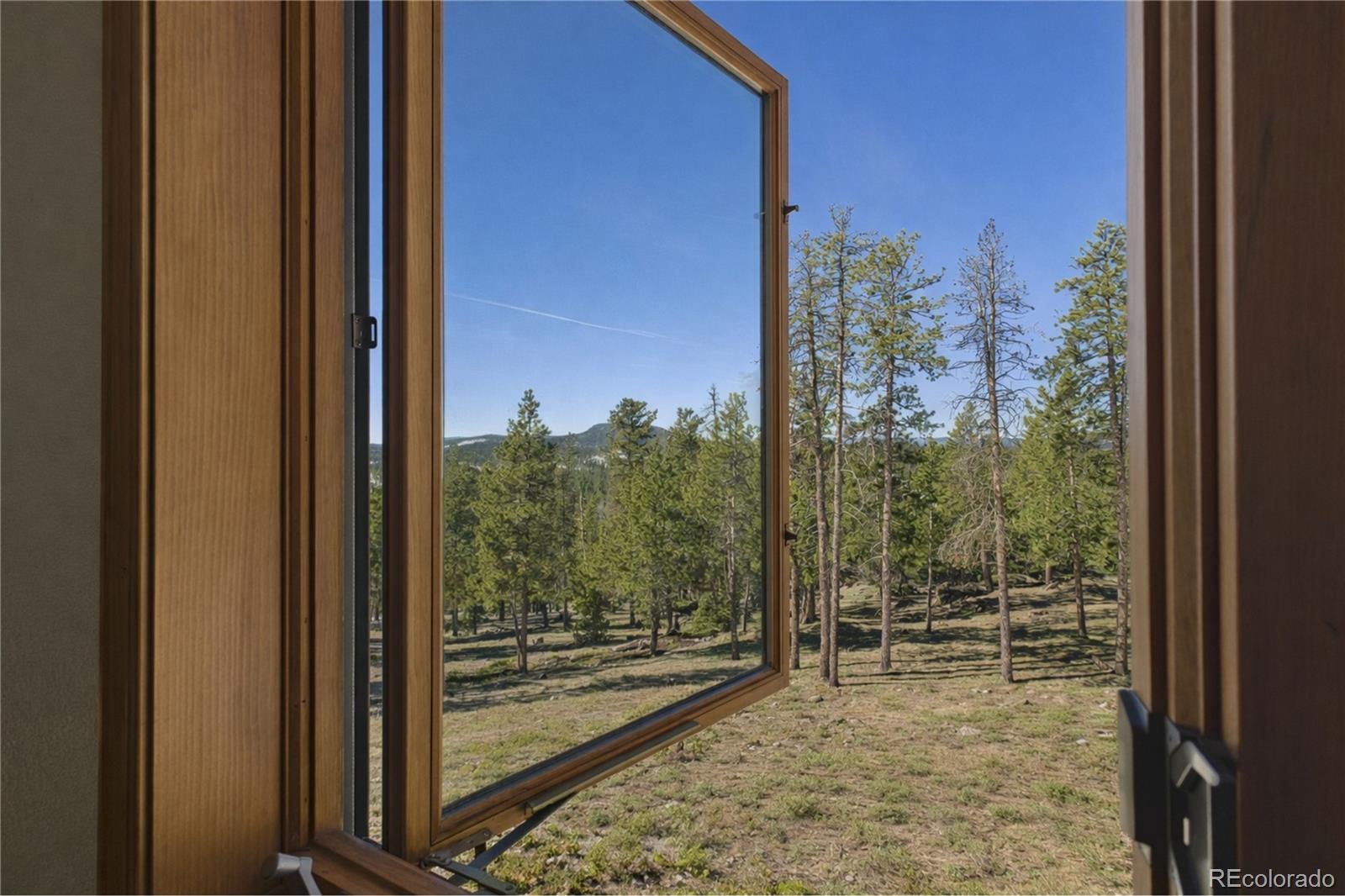 MLS Image #19 for 10798  crystal way,conifer, Colorado