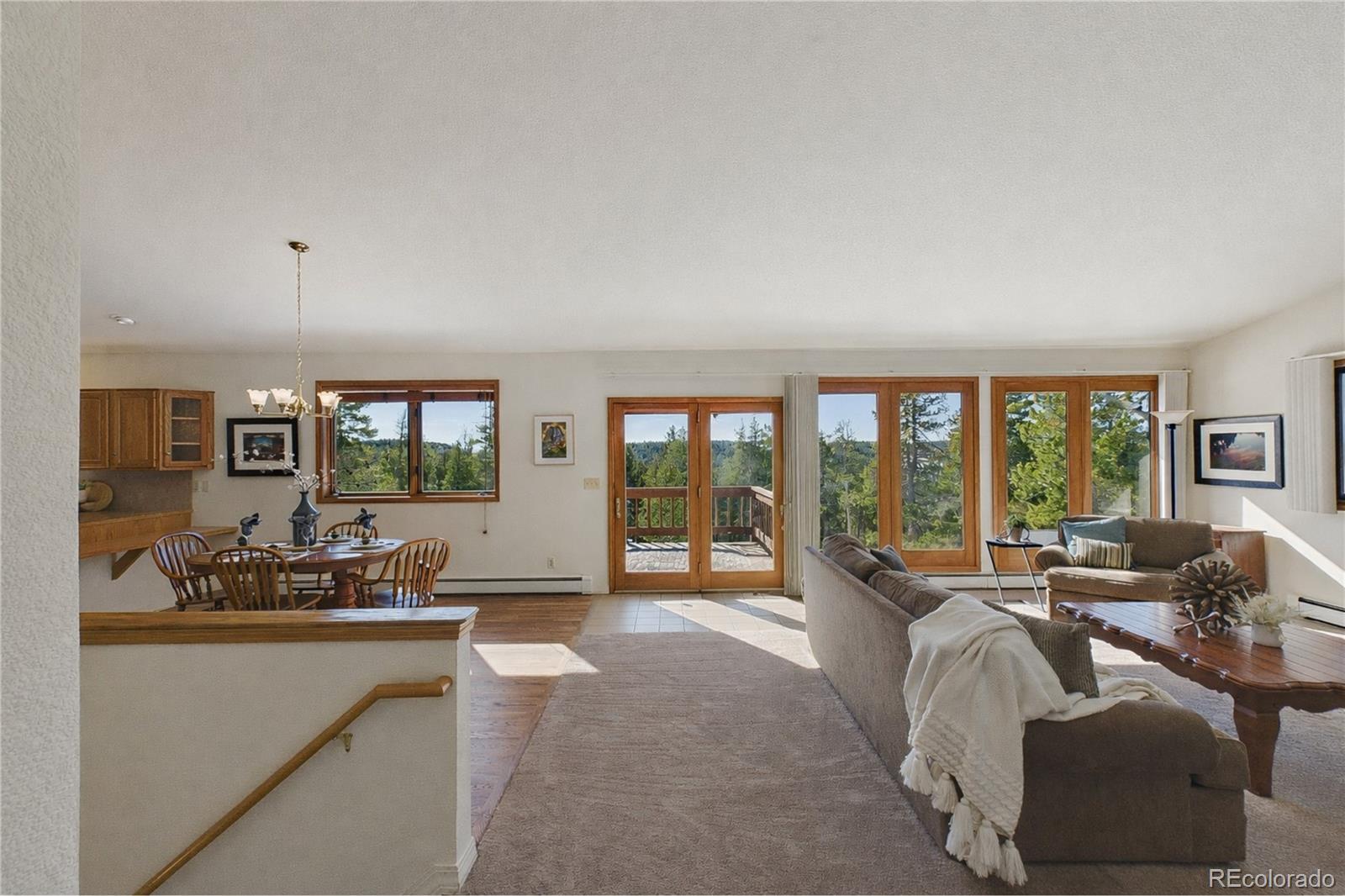 MLS Image #5 for 10798  crystal way,conifer, Colorado