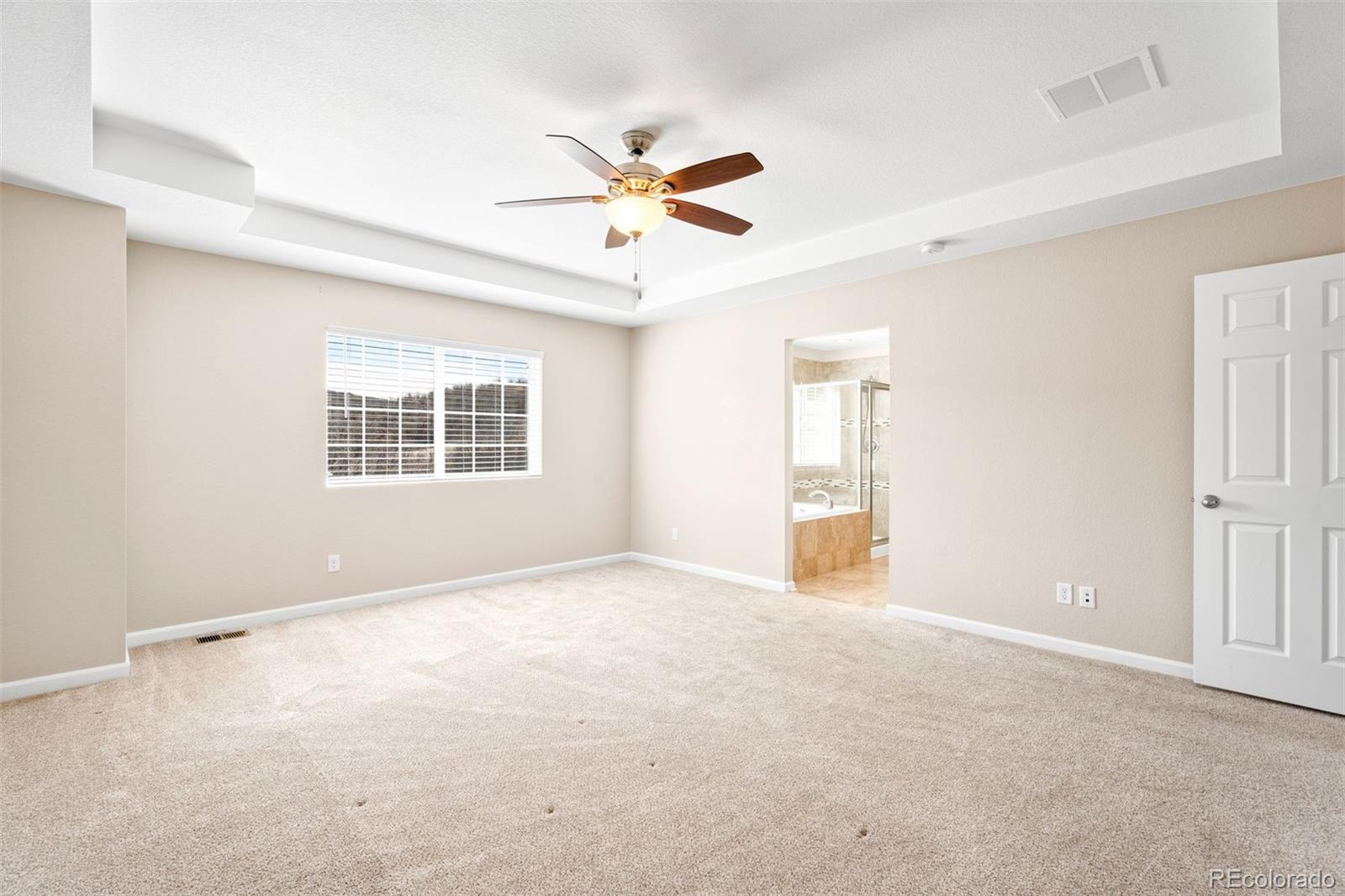 MLS Image #11 for 1156  raindrop way,castle rock, Colorado