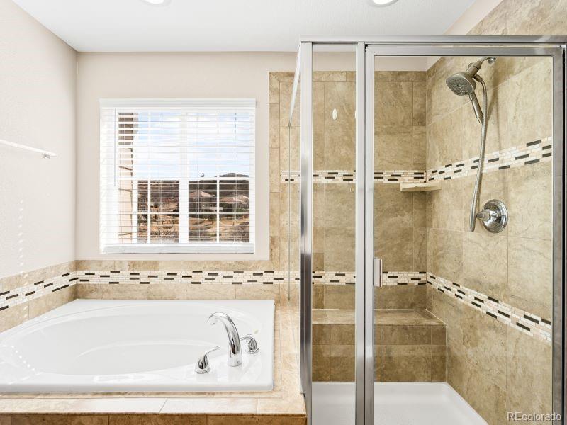 MLS Image #16 for 1156  raindrop way,castle rock, Colorado