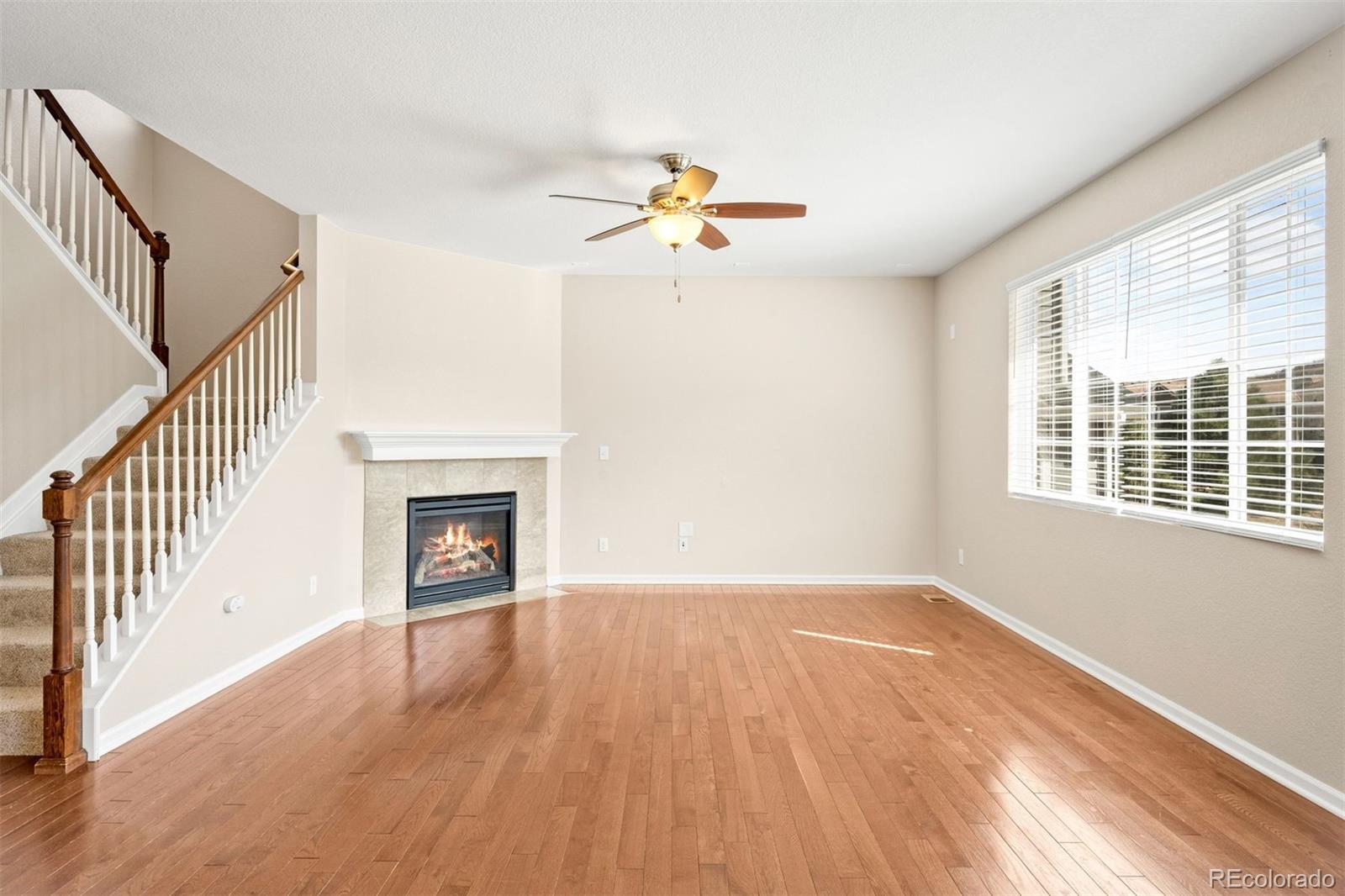 MLS Image #9 for 1156  raindrop way,castle rock, Colorado