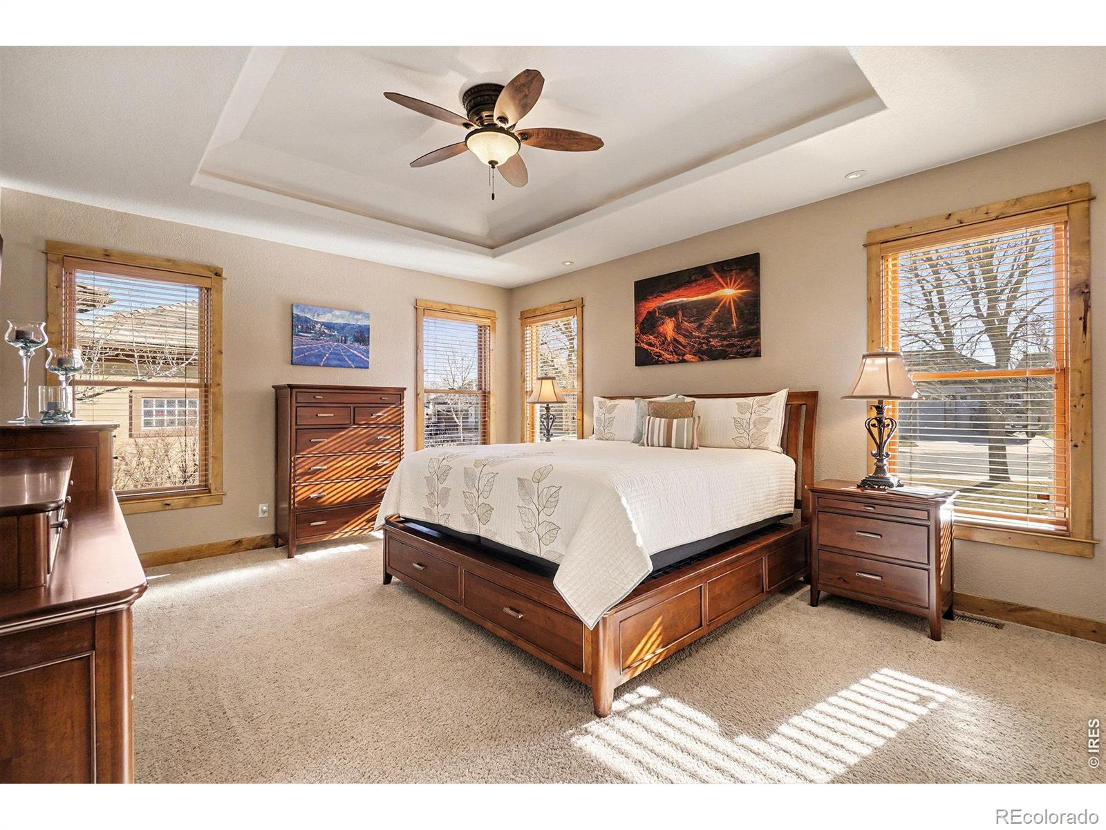 MLS Image #14 for 910  owl grove place,loveland, Colorado