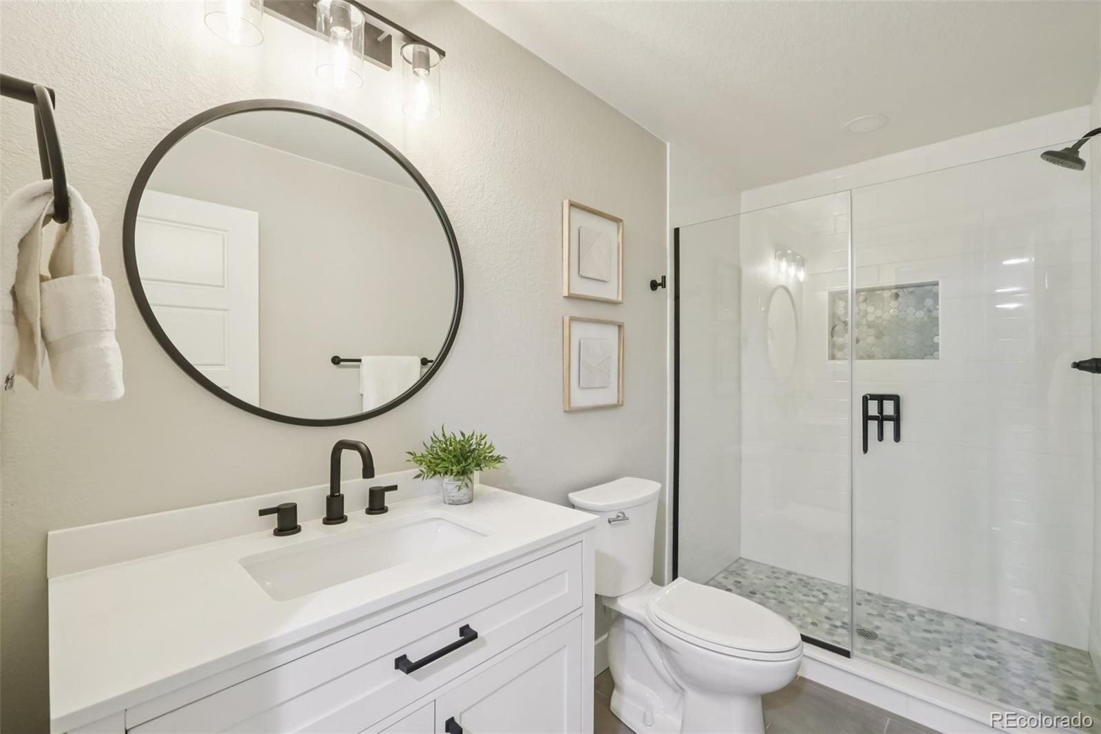 MLS Image #19 for 10877  touchstone loop,parker, Colorado