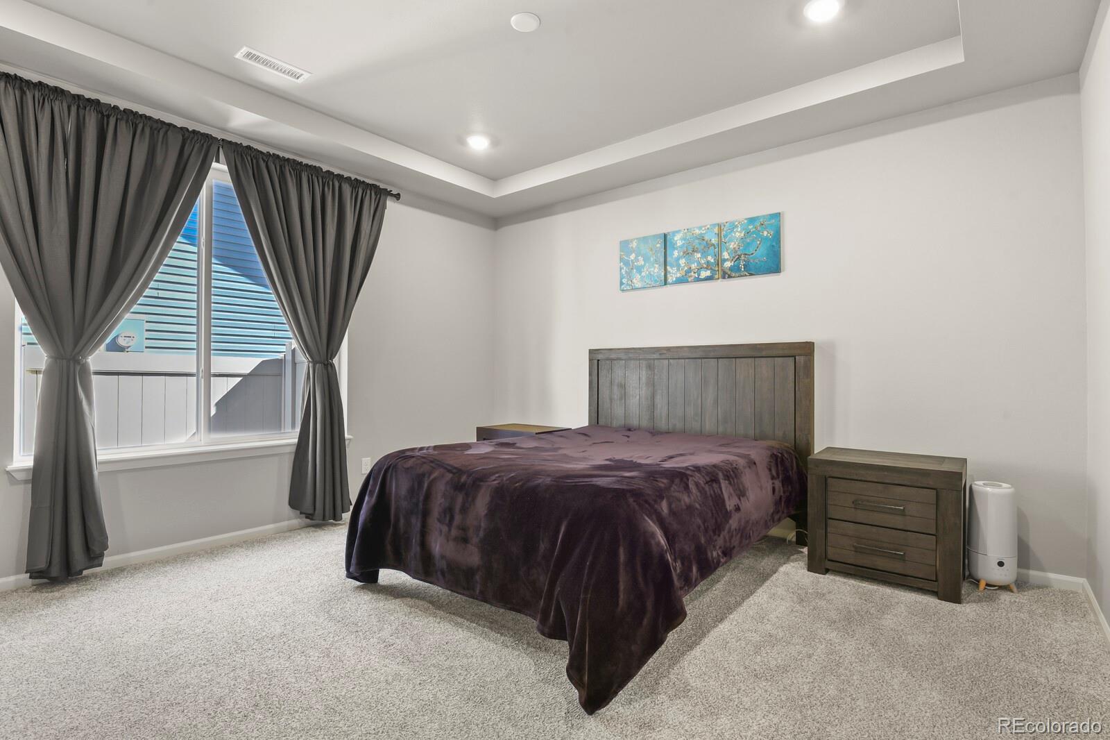 MLS Image #15 for 5825  mireland view,colorado springs, Colorado
